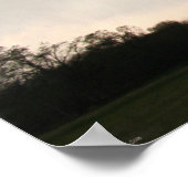 Poster de Marmaduke 2006 Tornado (Coin)