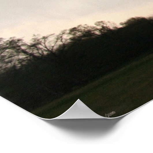 Poster de Marmaduke 2006 Tornado (Coin)