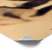 Poster de Matte Ghoulardi (W/Skull-1) (Coin)