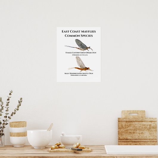 Poster de Mayfly (Cuisine)