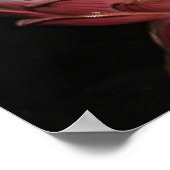 Poster de méditation de la déesse Quan Yin de Merc (Coin)