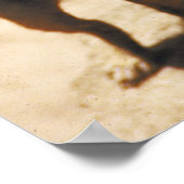 Poster de Meerkat (Coin)