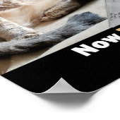 Poster de mème Stock Fat Cat Tasty (Coin)