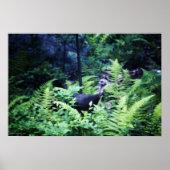 Poster de Mère Turquie dans les Ferns (Devant)