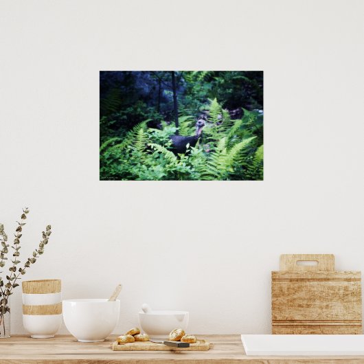 Poster de Mère Turquie dans les Ferns (Cuisine)