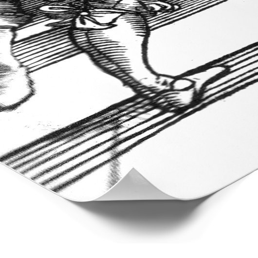 Poster de Meyer 1570 (Coin)