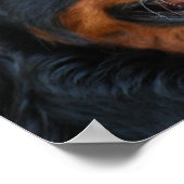 Poster de mignonne Bernese (Coin)