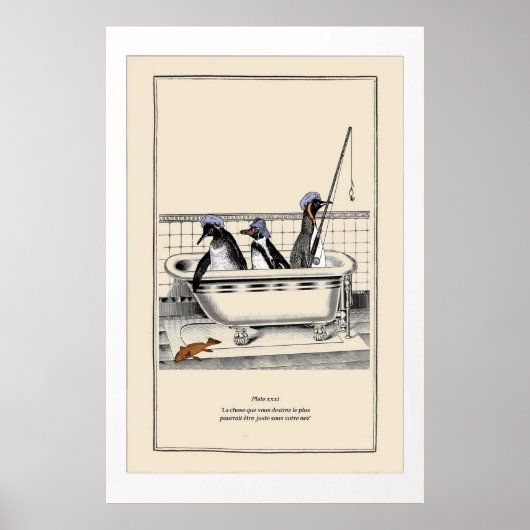 Poster de mignons pingouins (Devant)