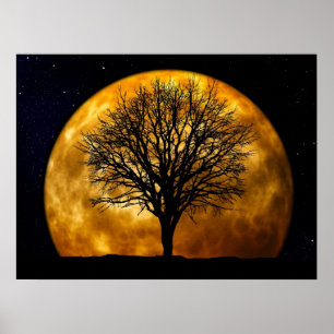 Poster de minuit Pleine lune