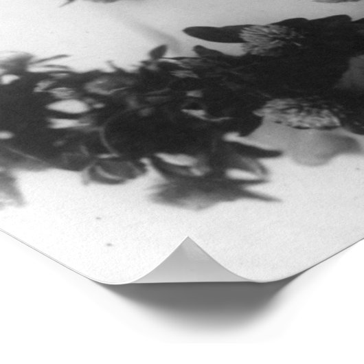 Poster de Miss Whitlock (Coin)