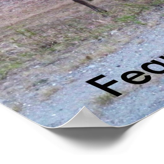 Poster de Moose (Coin)