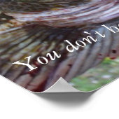 Poster de morue sur la côte de Washington. (Coin)