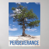Poster de motivation de l'arbre de persévérance (Devant)