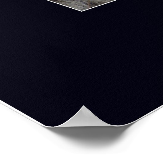 Poster de motivation du leadership (Coin)