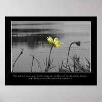 Poster de motivation Lotus and Dragonflies