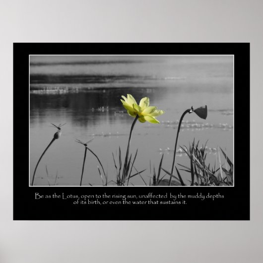 Poster de motivation Lotus and Dragonflies (Devant)