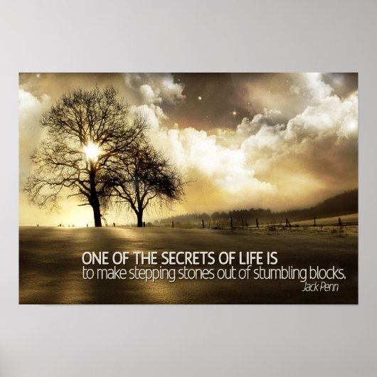 Poster de motivation Secrets of Life (Devant)