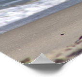 Poster de mouettes sur la plage (Coin)