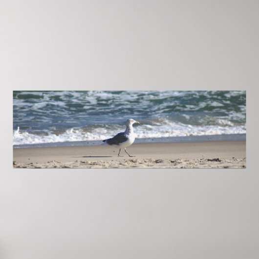 Poster de mouettes sur la plage (Devant)