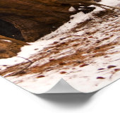 Poster de Mule Deer (Coin)