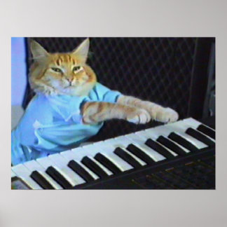Poster de mur de chat de clavier !