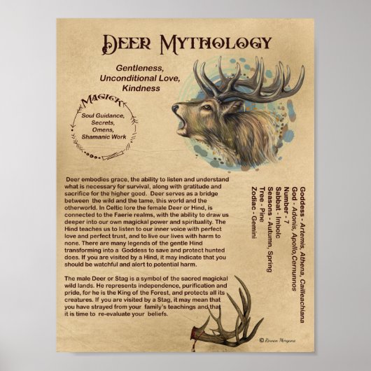 POSTER DE MYTHOLOGIE DE DEER (Devant)