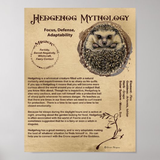 POSTER DE MYTHOLOGIE HEDGEHOG (Devant)