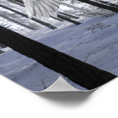 Poster de neige de la forêt de Cheval Volant Pegas (Coin)