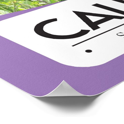 Poster de Nerlande Daniel (Coin)