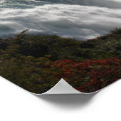 Poster de Niagara Falls (Coin)