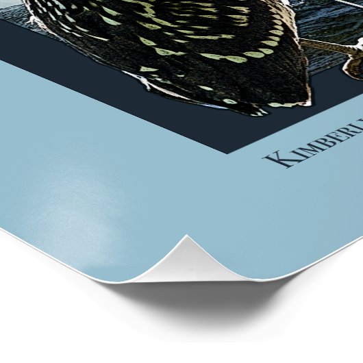 Poster de Niagara Falls (Coin)