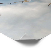 Poster de nombreux mouettes (Coin)