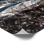 Poster de Northeast Harbour (Coin)