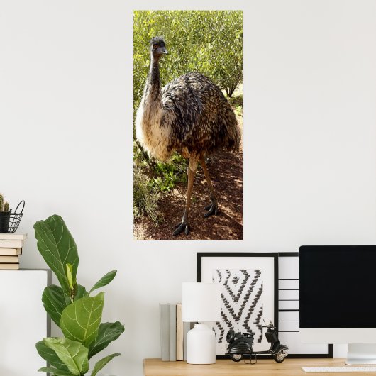 Poster de Nosy Emu (Bureau à domicile)