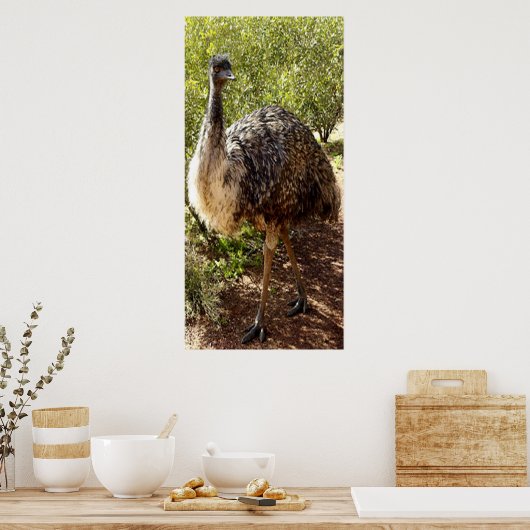 Poster de Nosy Emu (Cuisine)