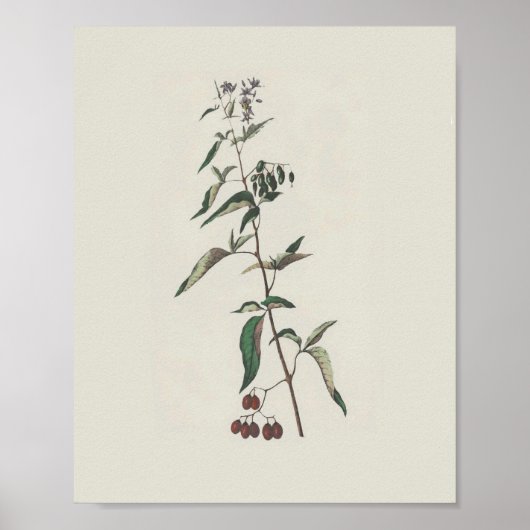 Poster de nuit en bois (Devant)