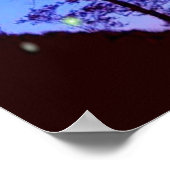 Poster de nuit enchanté (Coin)