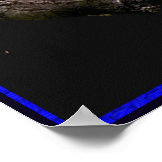 Poster de nuit Tiger (Coin)