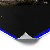 Poster de nuit Tiger (Coin)