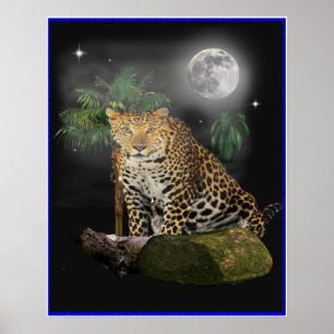 Poster de nuit Tiger