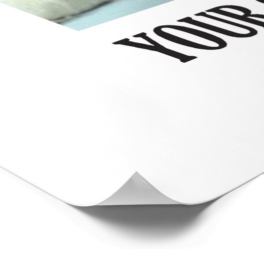 Poster de numérisation de chat (Coin)