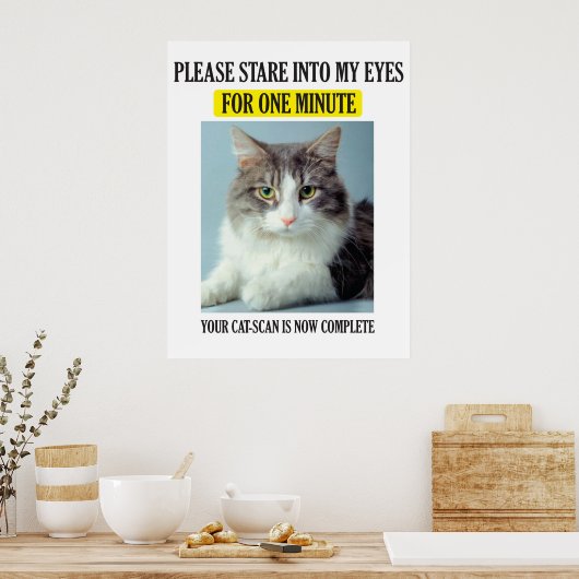 Poster de numérisation de chat (Cuisine)