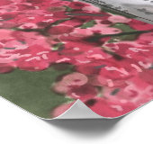 Poster de Nuthatch à poitrine blanche et de Fleurs (Coin)