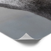 Poster de Otter Mastermind (Coin)