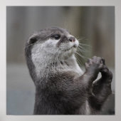 Poster de Otter Mastermind (Devant)