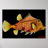 Poster de Oul Grumpy (Devant)