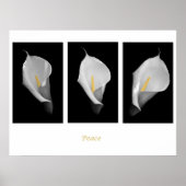 Poster de paix (Devant)