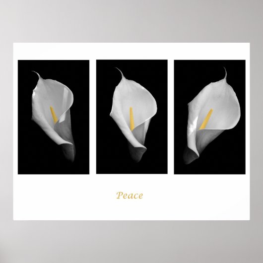 Poster de paix (Devant)