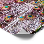 Poster de paon ou imprimer (Coin)
