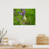 Poster de papillon blanc à veines noires (Cuisine)